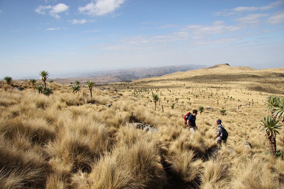 semien mountains national park in Ethiopia