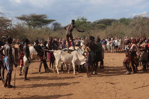 The Culture Behind The Bull Jumping Ceremony