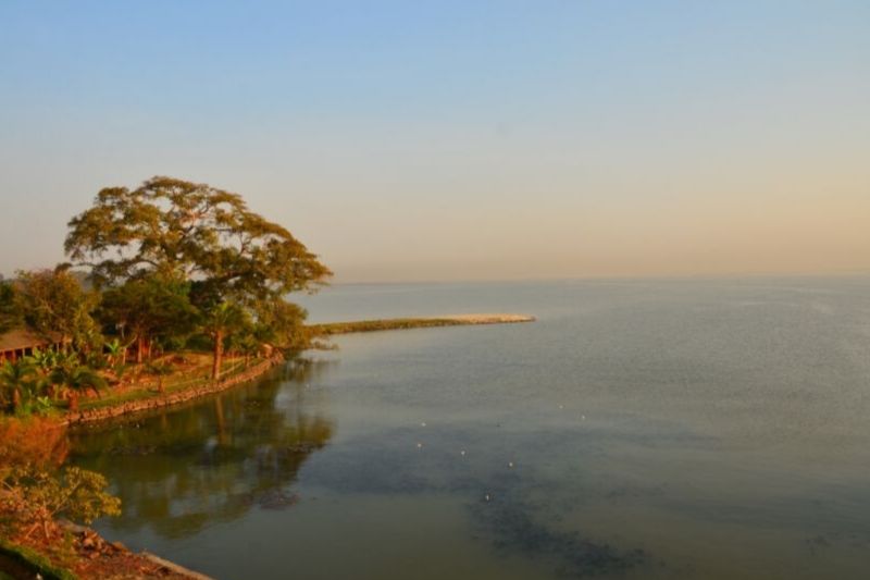 Lake Tana. Things To Do In Bahir Dar. Absolute Ethiopia