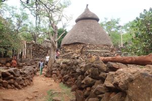 Konso Village. Learn about Konso's Cultural Landscape. Absolute Ethiopia