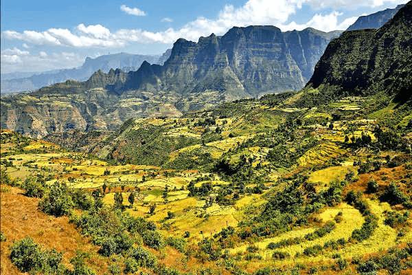 top ethiopia birding destinations