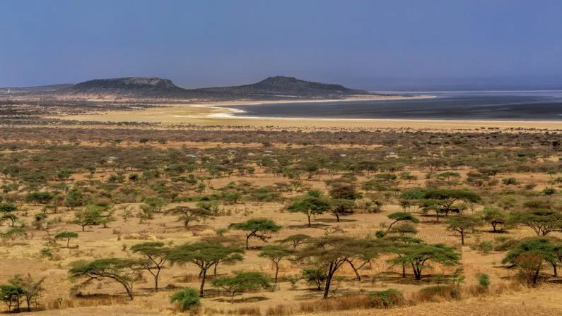 Abijatta-Shalla Lakes National Park