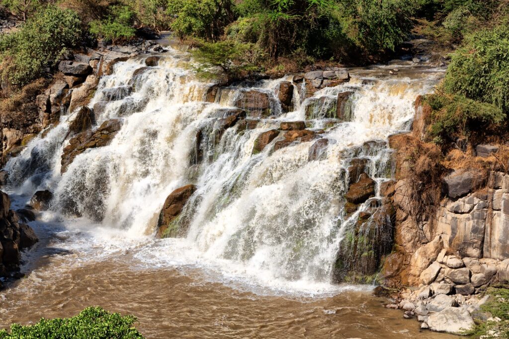 Awash National Park, Ethiopia gallery photo 2