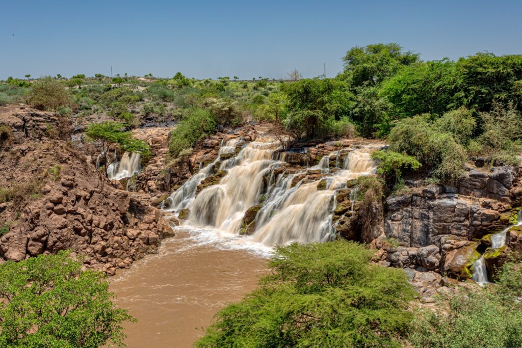 Awash National Park, Ethiopia gallery photo 4