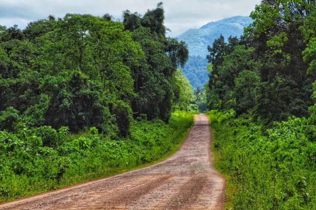 Bale Mountains, Ethiopia gallery photo 3