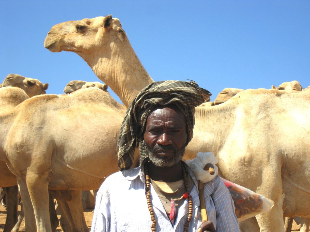 Harar, Ethiopia gallery photo 3