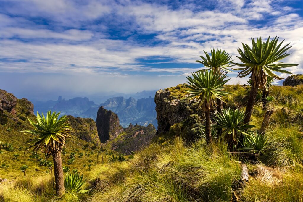 Simien Mountains, Ethiopia gallery photo 4